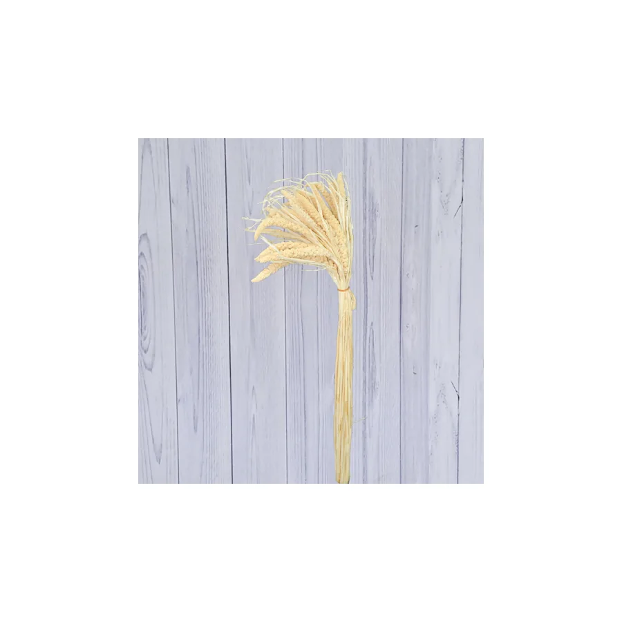 Dried & Bleached Flowers